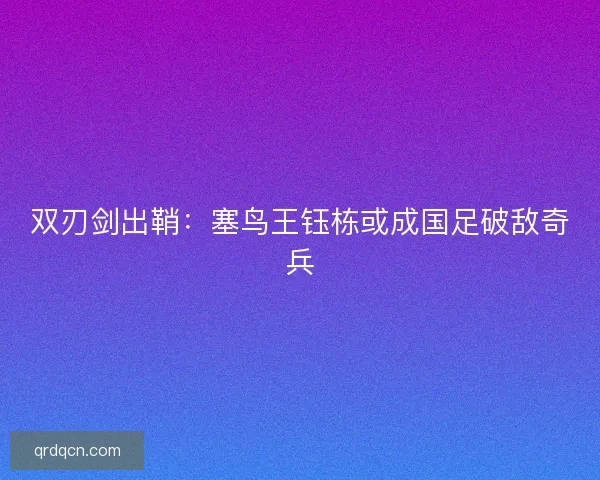 双刃剑出鞘：塞鸟王钰栋或成国足破敌奇兵
