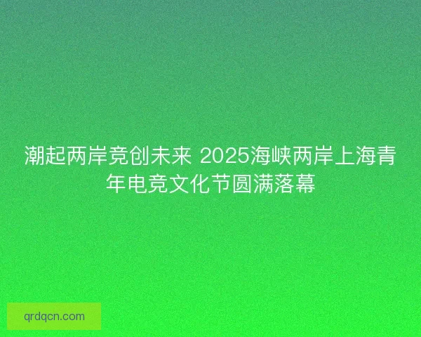 潮起两岸竞创未来 2025海峡两岸上海青年电竞文化节圆满落幕 潮起两岸竞创未来 2025海峡两岸上海青年电竞文化节圆满落幕